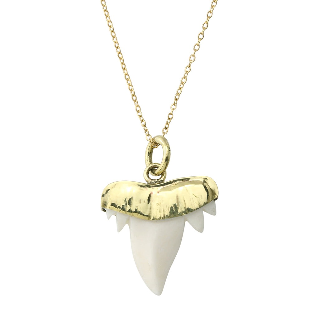 Bone Faux Otodus Shark Tooth Necklace
