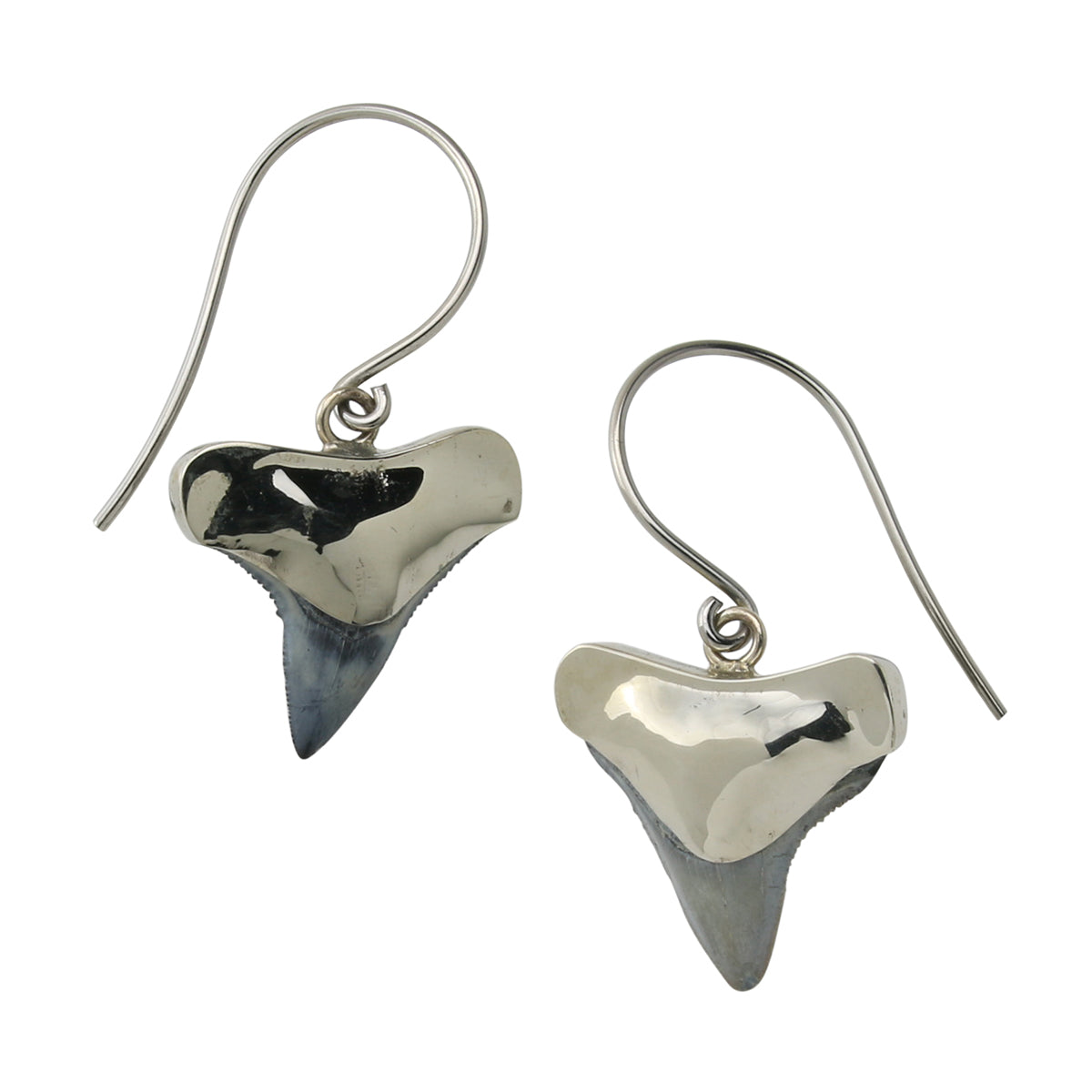 Shark Tooth Stainless Steel Earrings Svaha USA